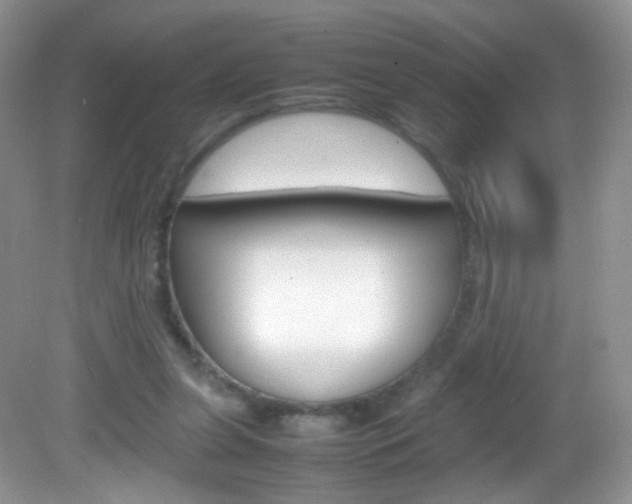 X0000082940255200702011119