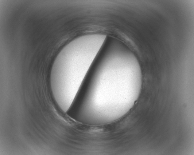 X0000082940257200702011119