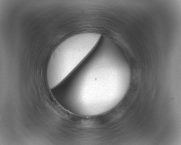 X0000082940259200702011119
