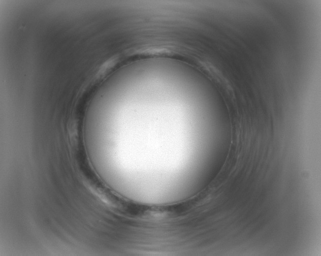 X0000082940260200702011119