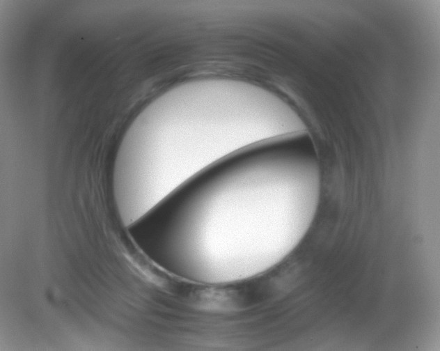 X0000082940261200702011119