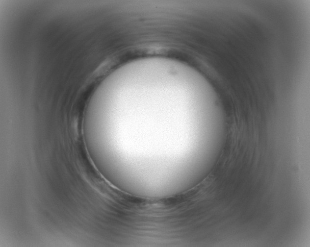 X0000082940262200702011119