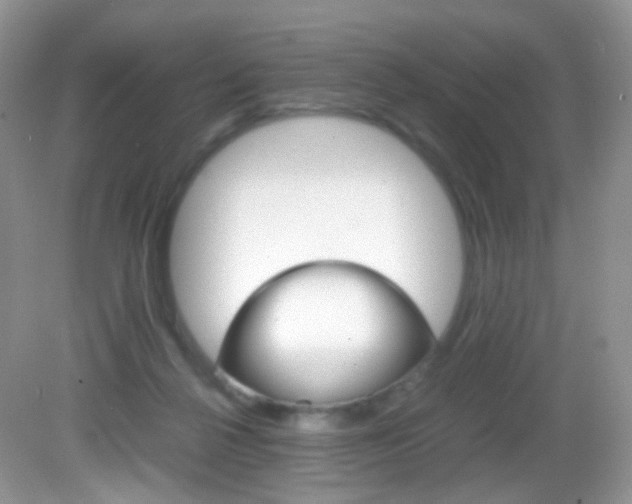 X0000082940264200702011119