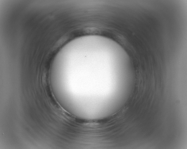 X0000082940266200702011119