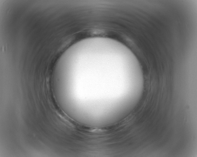 X0000082940269200702011120