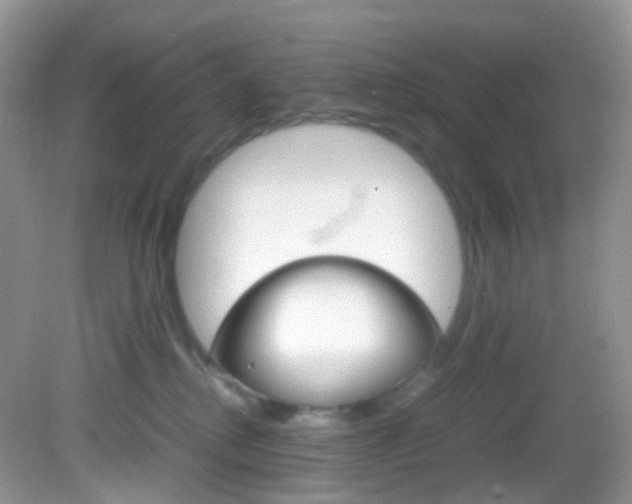 X0000082940280200702011120