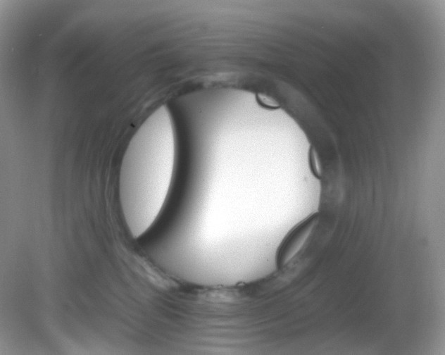 X0000082940282200702011120