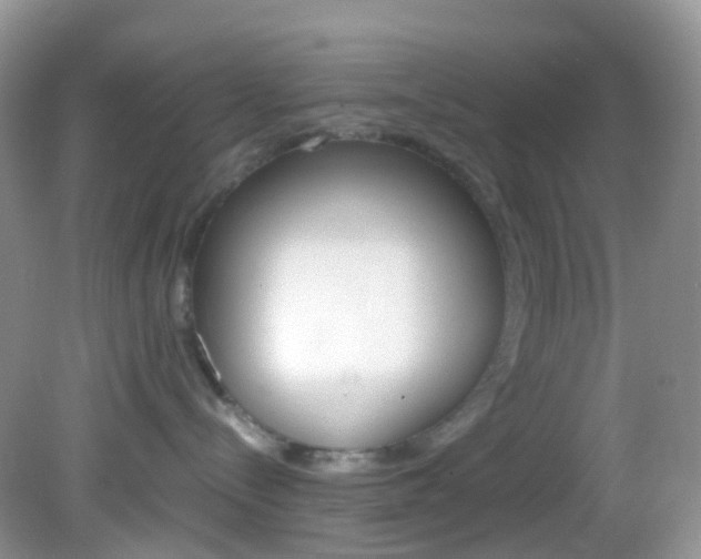 X0000082940288200702011120