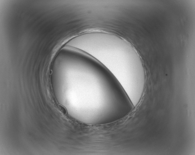 X0000082940289200702011119