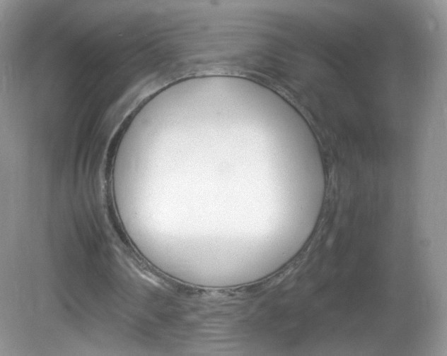 X0000082940290200702011119