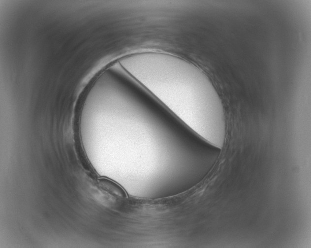 X0000082940292200702011119
