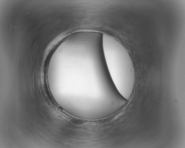 X0000082940294200702011119