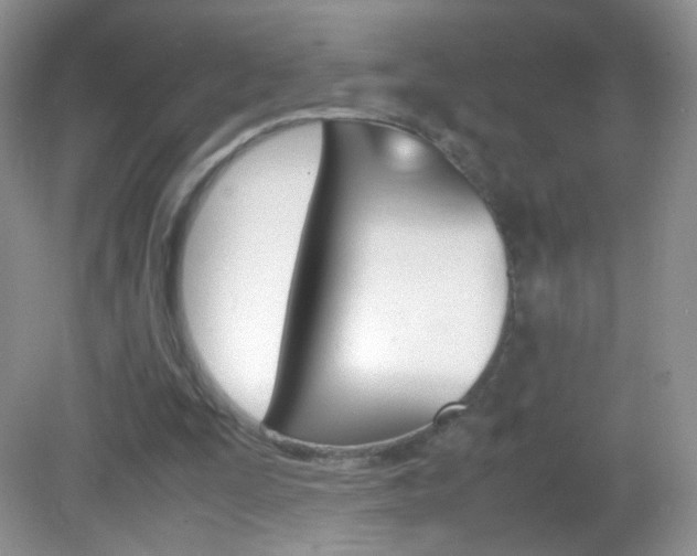 X0000082940295200702011119