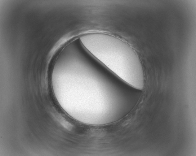X0000082940296200702011119