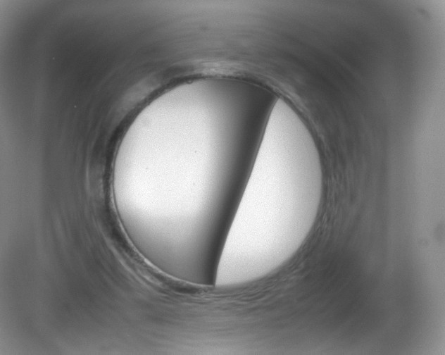 X0000082940299200702011119