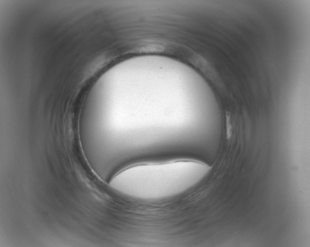 X0000082940300200702011119