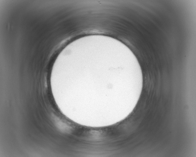 X0000082940302200702011119