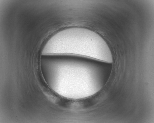 X0000082940303200702011119