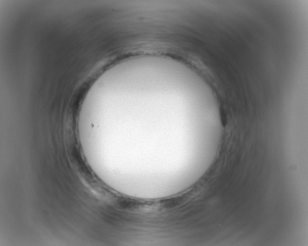 X0000082940306200702011119