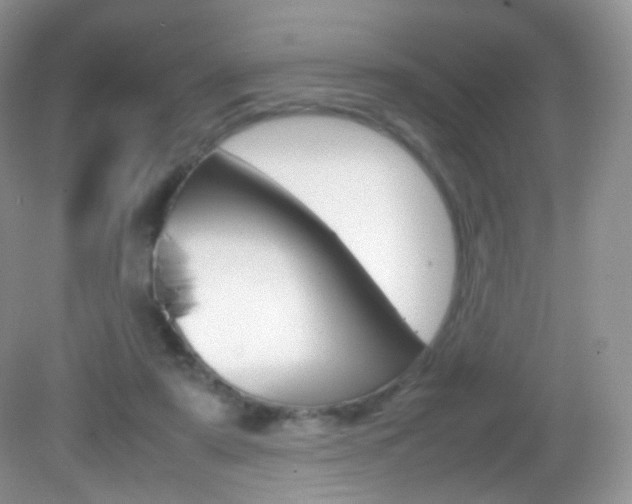 X0000082940307200702011119