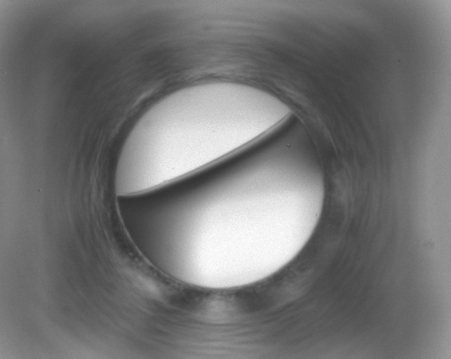 X0000082940308200702011119