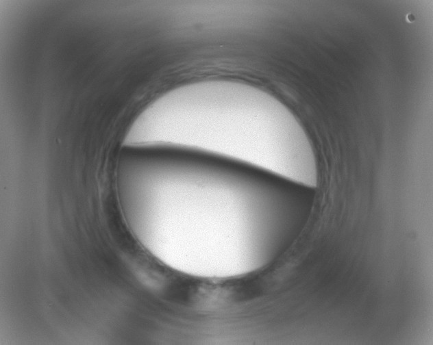 X0000082940311200702011119