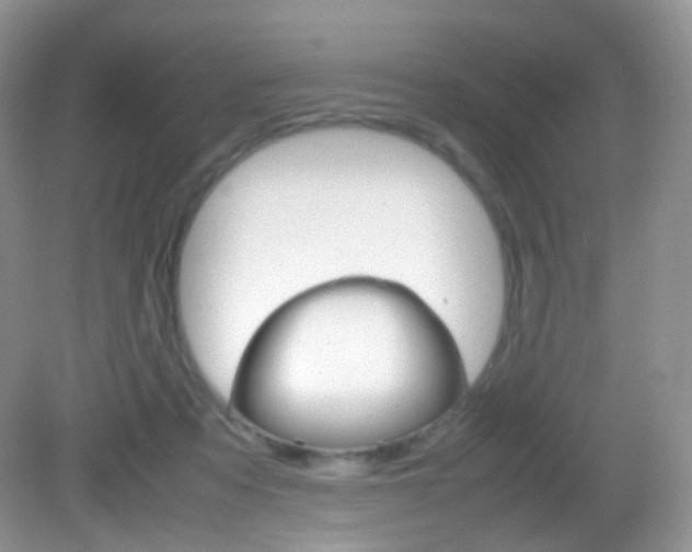 X0000082940313200702011119
