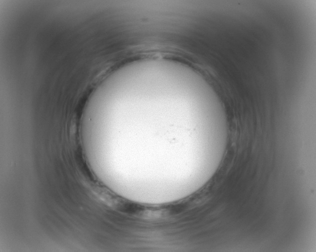 X0000082940314200702011119