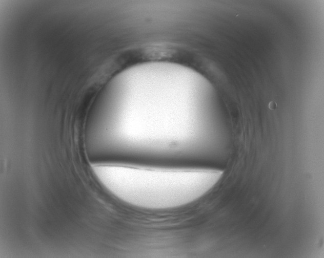 X0000082940315200702011119