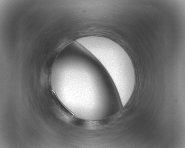 X0000082940333200702011118
