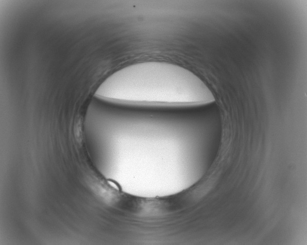 X0000082940336200702011118