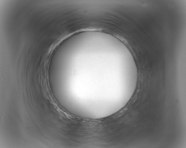 X0000082940337200702011117