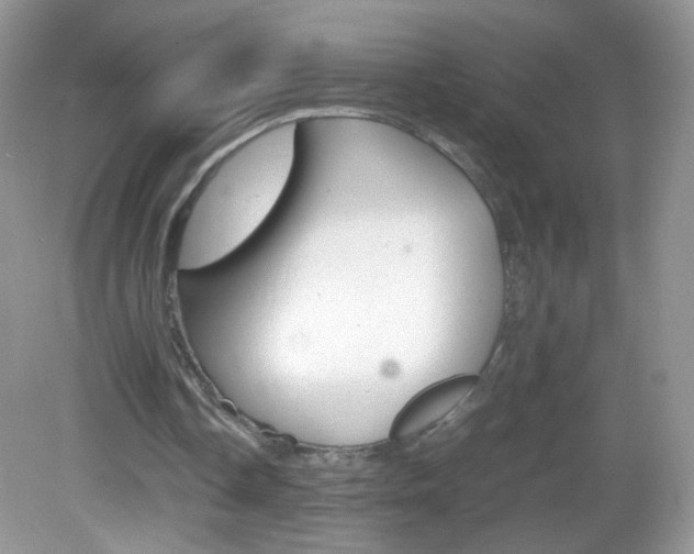 X0000082940338200702011117