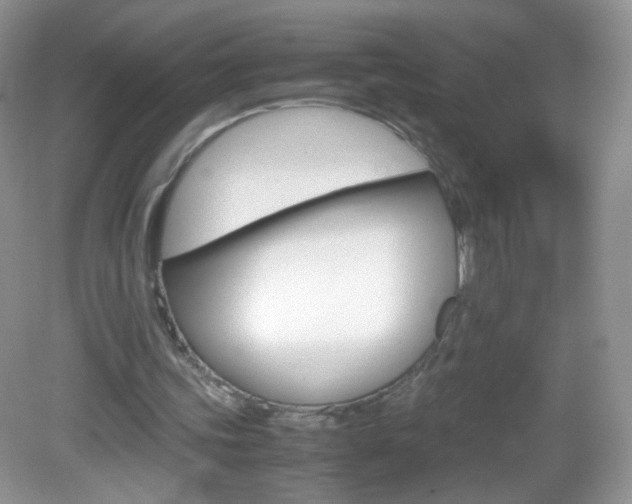 X0000082940339200702011117