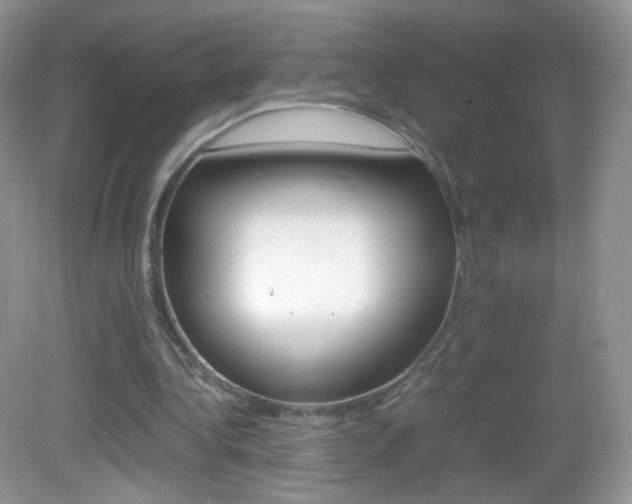 X0000082940340200702011117