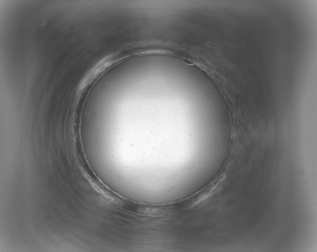 X0000082940341200702011117