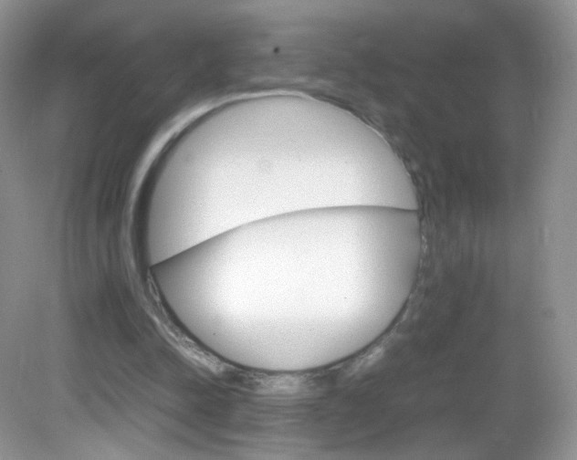X0000082940342200702011118