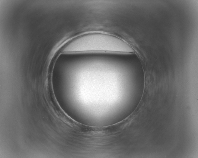 X0000082940344200702011118