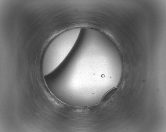 X0000082940345200702011118