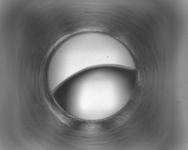 X0000082940348200702011118