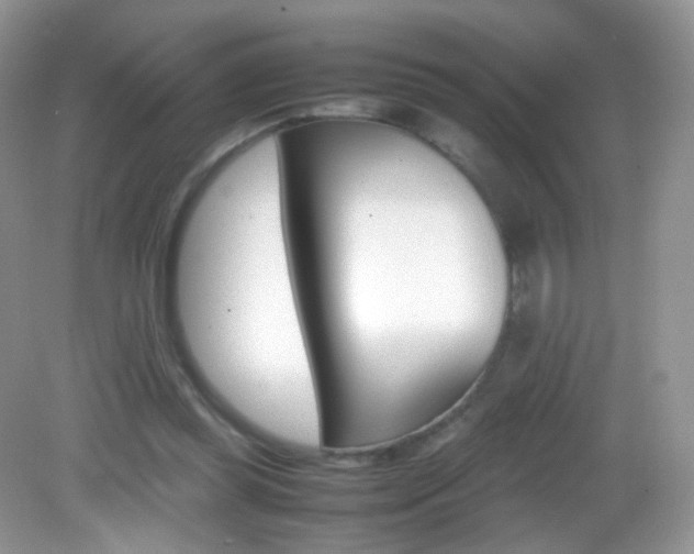 X0000082940349200702011118