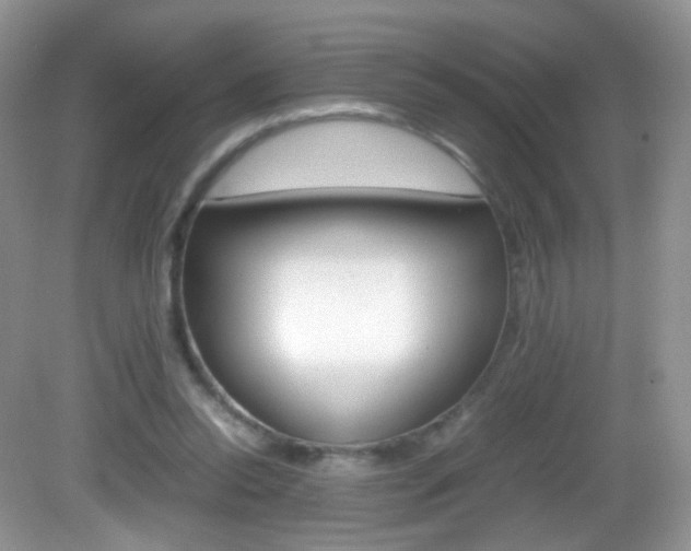 X0000082940350200702011118