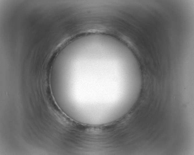 X0000082940354200702011118