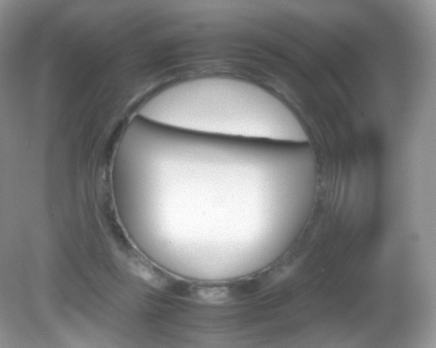 X0000082940355200702011118