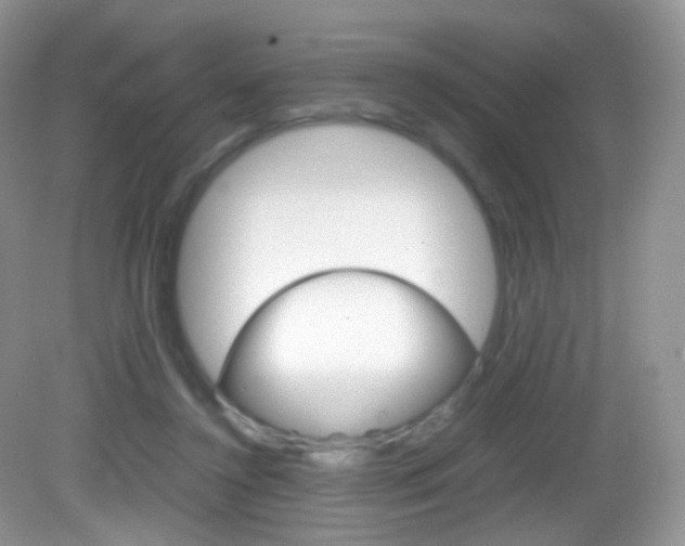 X0000082940356200702011118