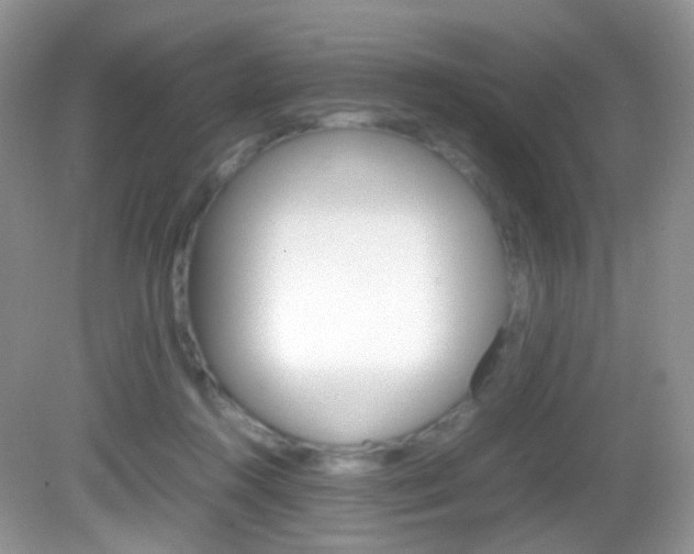 X0000082940360200702011118