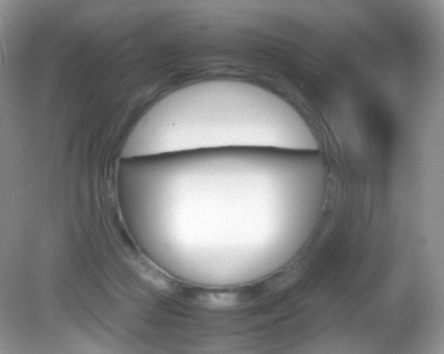 X0000082940361200702011118