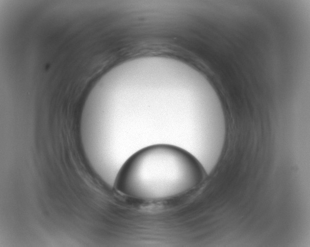 X0000082940362200702011118