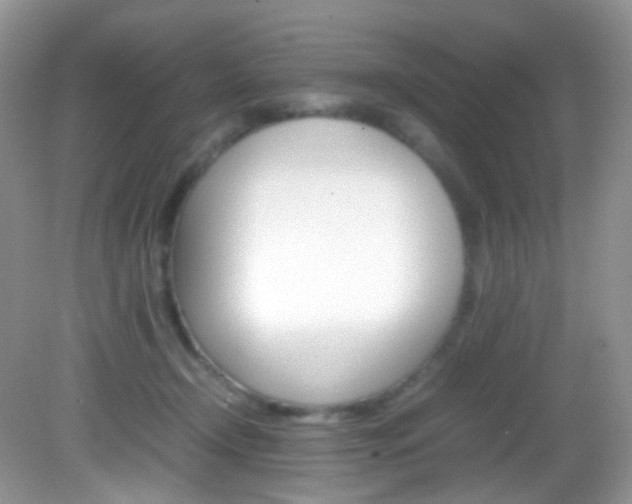 X0000082940366200702011118
