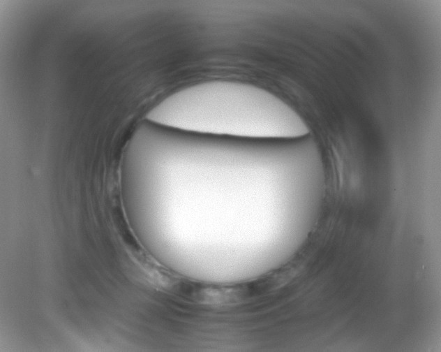 X0000082940367200702011118